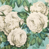 John Derian The rose