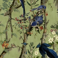 BIRDS OF DANUBE