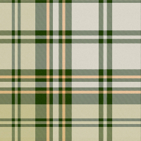 Mind The Gap CHESTERFIELD PLAID