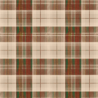 Mind The Gap COUNTRYSIDE PLAID