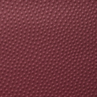 Jean Paul Gaultier EMBOSSE 