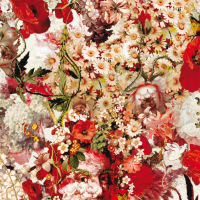 Jean Paul Gaultier CELEBRATION