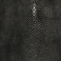 Jean Paul Gaultier PRECIEUX