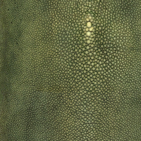 Jean Paul Gaultier PRECIEUX