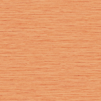 Today Interiors COASTAL HAVEN LN41100-LN41132