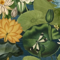 Mind The Gap LOTUS BLOSSOM
