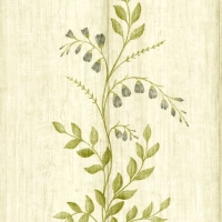 Nina Campbell Auborn