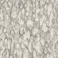 Nina Campbell Kershaw Plain