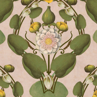 Mind The Gap NYMPHAEA