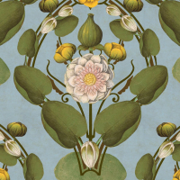 Mind The Gap NYMPHAEA