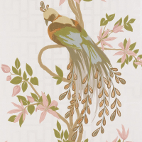 Nina Campbell Paradiso