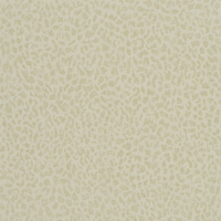 Ciottoli