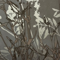 Today Interiors Panthera Floral