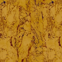  Gold Marble