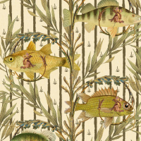 SWEETWATER FISHES