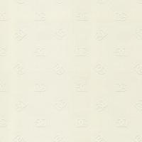 Dolce & Gabbana DG MEDIANO