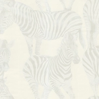 Dolce & Gabbana ZEBRA ROMANCE