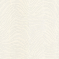 Dolce & Gabbana ZEBRA DOLCE