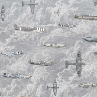 Timeless Design Spitfires