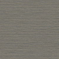 Today Interiors Newton