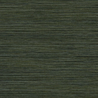 Today Interiors Newton