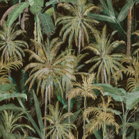 Mind The Gap THE JUNGLE