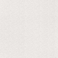 Osborne & Little Oriole