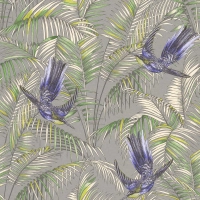 Sunbird