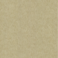 Osborne & Little Falcon