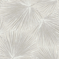 Today Interiors PALM