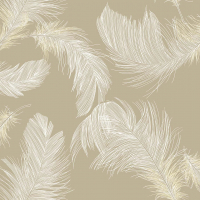 Shades of White Feather