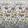 Grey Wallpaper PDG1153/04