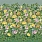 Green Wallpaper PDG1170/01
