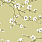 Black & Gold Wallpaper CH30105