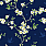 Aqua & Blue Wallpaper CH30202