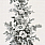 Black & White Wallpaper CL31500