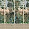 Green Wallpaper WP20750
