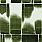 Green Wallpaper WP30233