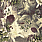 Multi Colour Wallpaper 3345-01