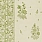 Green Wallpaper WP30021
