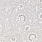 Grey Wallpaper NCW4351-06