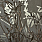 Grey Wallpaper PH49206