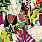 Multi Colour Wallpaper WP20857