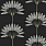 Black Wallpaper TR70400