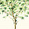 Green Wallpaper TR71504M