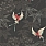 Black Wallpaper W5603-07