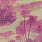 Pink & Purple Wallpaper W6652-05