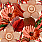 Multi Colour Wallpaper WP20317