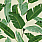 Green Wallpaper WP20111