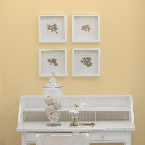 Clotted cream  no 113  perfect paint 